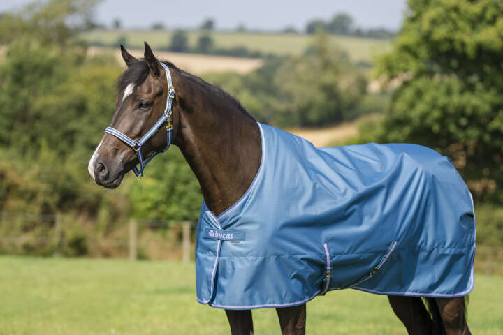 bucas Outdoordecke Freedom Turnout 50 g Blueberry